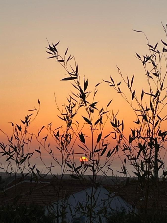 سيسيمبرا Cabana Mar E Serra المظهر الخارجي الصورة