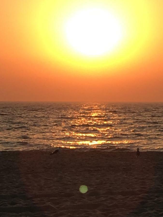 سيسيمبرا Cabana Mar E Serra المظهر الخارجي الصورة